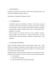 Etiketas kiekvienam 3 puslapis