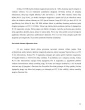 AGP magistralės veikimo principai, PCI Express magistralė 14 puslapis