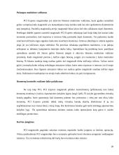 AGP magistralės veikimo principai, PCI Express magistralė 19 puslapis