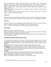 Akcentologija kalboje 16 puslapis