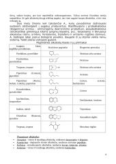 Alkaloidai 4 puslapis