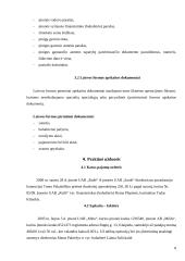 Analitinės apskaitos registrai ir jų sudarymo būdai 8 puslapis