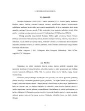 Antikos pasaulis H. Radausko poezijoje 5 puslapis