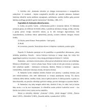 Antikos pasaulis H. Radausko poezijoje 6 puslapis