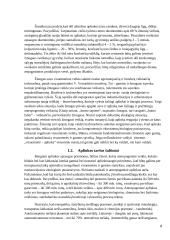 Aplinkos apsaugos būtinumas 4 puslapis