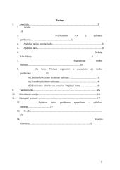 Aplinkos taršos problemos 2 puslapis