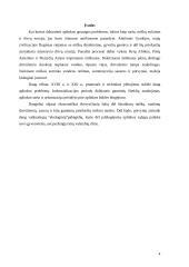 Aplinkos taršos problemos 4 puslapis