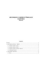 Aplinkos vaidmuo žmogaus ugdymui