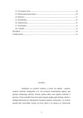 Aplinkos vaidmuo žmogaus ugdymui 2 puslapis