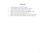 Apskaitos dokumentai: jų klasifikavimas, juridinė galia 13 puslapis