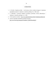 Apskaitos politikos realizavimas įmonėje 10 puslapis