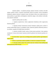 Įmonių apskaitos politikos įgyvendinimas 2 puslapis