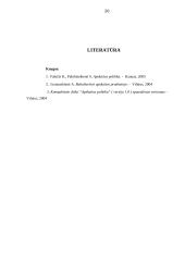 Įmonių apskaitos politikos įgyvendinimas 20 puslapis