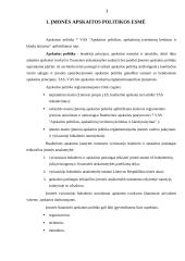 Įmonių apskaitos politikos įgyvendinimas 3 puslapis