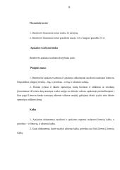 Įmonių apskaitos politikos įgyvendinimas 6 puslapis