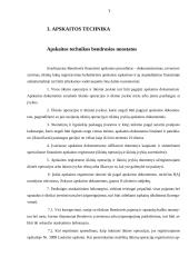 Įmonių apskaitos politikos įgyvendinimas 7 puslapis