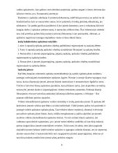 Apskaitos procesas ir jo organizavimo nuoseklumas 11 puslapis