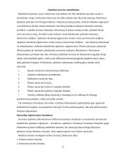 Apskaitos procesas ir jo organizavimo nuoseklumas 12 puslapis