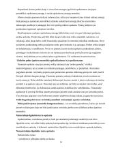 Apskaitos procesas ir jo organizavimo nuoseklumas 14 puslapis