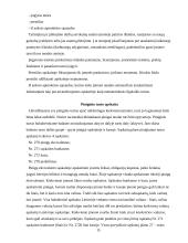 Apskaitos procesas ir jo organizavimo nuoseklumas 15 puslapis