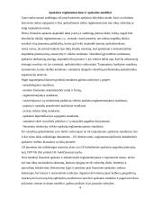 Apskaitos procesas ir jo organizavimo nuoseklumas 4 puslapis