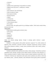 Apskaitos sistemų lyginamoji analizė 11 puslapis