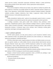 Apskaitos sistemų lyginamoji analizė 12 puslapis