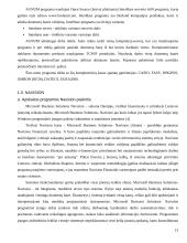 Apskaitos sistemų lyginamoji analizė 13 puslapis