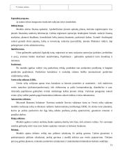 Apskaitos sistemų lyginamoji analizė 15 puslapis