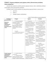 Apskaitos sistemų lyginamoji analizė 19 puslapis