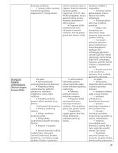 Apskaitos sistemų lyginamoji analizė 20 puslapis