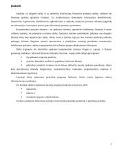 Apskaitos sistemų lyginamoji analizė 4 puslapis