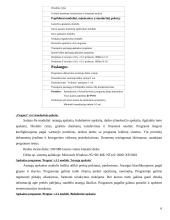 Apskaitos sistemų lyginamoji analizė 6 puslapis