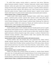 Apskaitos sistemų lyginamoji analizė 7 puslapis