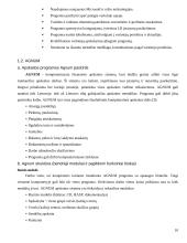 Apskaitos sistemų lyginamoji analizė 10 puslapis