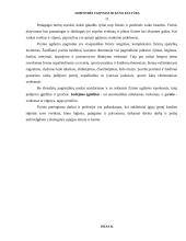 Asmenybės ugdymas ir kūno kultūra 11 puslapis