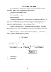 Asmeninio kompiuterio sistemos blokas 3 puslapis