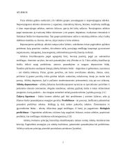 Atliekų tvarkymas Lietuvoje 5 puslapis