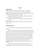 Atomo sudėtis. Metalai 9 puslapis