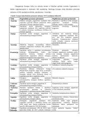 Atsinaujinančių ir vietinių energijos išteklių skatinimas 11 puslapis
