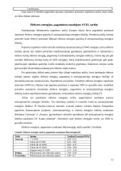 Atsinaujinančių ir vietinių energijos išteklių skatinimas 12 puslapis