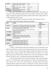 Atsinaujinančių ir vietinių energijos išteklių skatinimas 13 puslapis