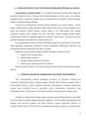 Atsinaujinančių ir vietinių energijos išteklių skatinimas 4 puslapis