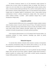 Atsinaujinančių ir vietinių energijos išteklių skatinimas 8 puslapis