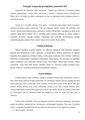 Atsinaujinančių ir vietinių energijos išteklių skatinimas 9 puslapis