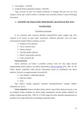 Atsinaujinančių ir vietinių energijos išteklių skatinimas 10 puslapis