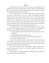 Atsiskaitymų už darbą organizavimas darbo užmokesčio apskaitos programoje 2 puslapis