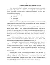 Atsiskaitymų už darbą organizavimas darbo užmokesčio apskaitos programoje 3 puslapis