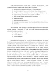 Auditas: svarba ir būtinumas 10 puslapis