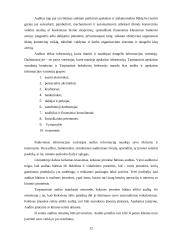 Auditas: svarba ir būtinumas 11 puslapis